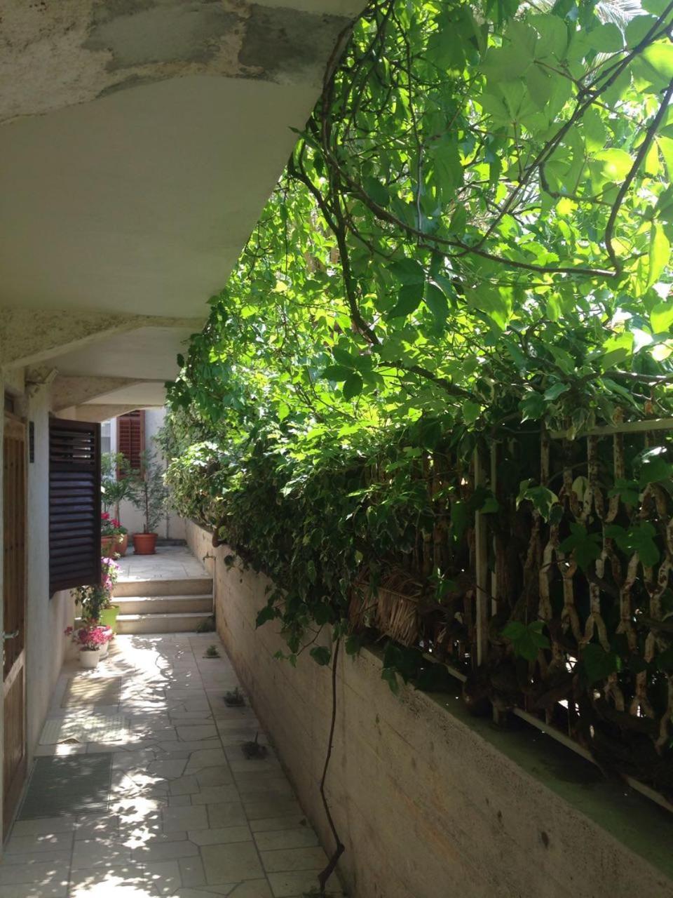 Happy Dubrovnik Centre-Free Parking Appartement Buitenkant foto