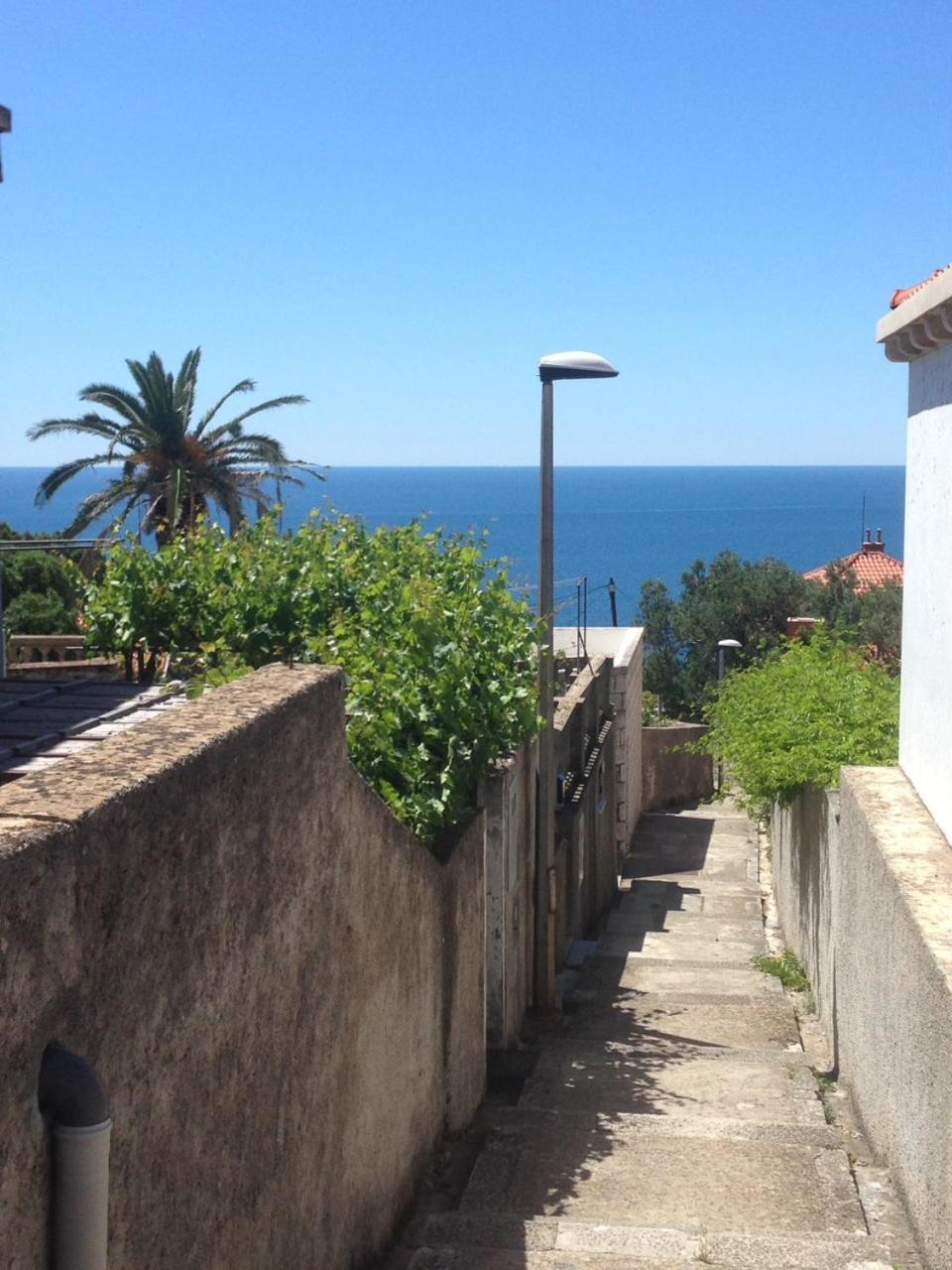 Happy Dubrovnik Centre-Free Parking Appartement Buitenkant foto